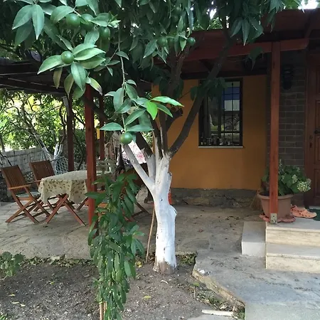 Holiday home Merve Apart *